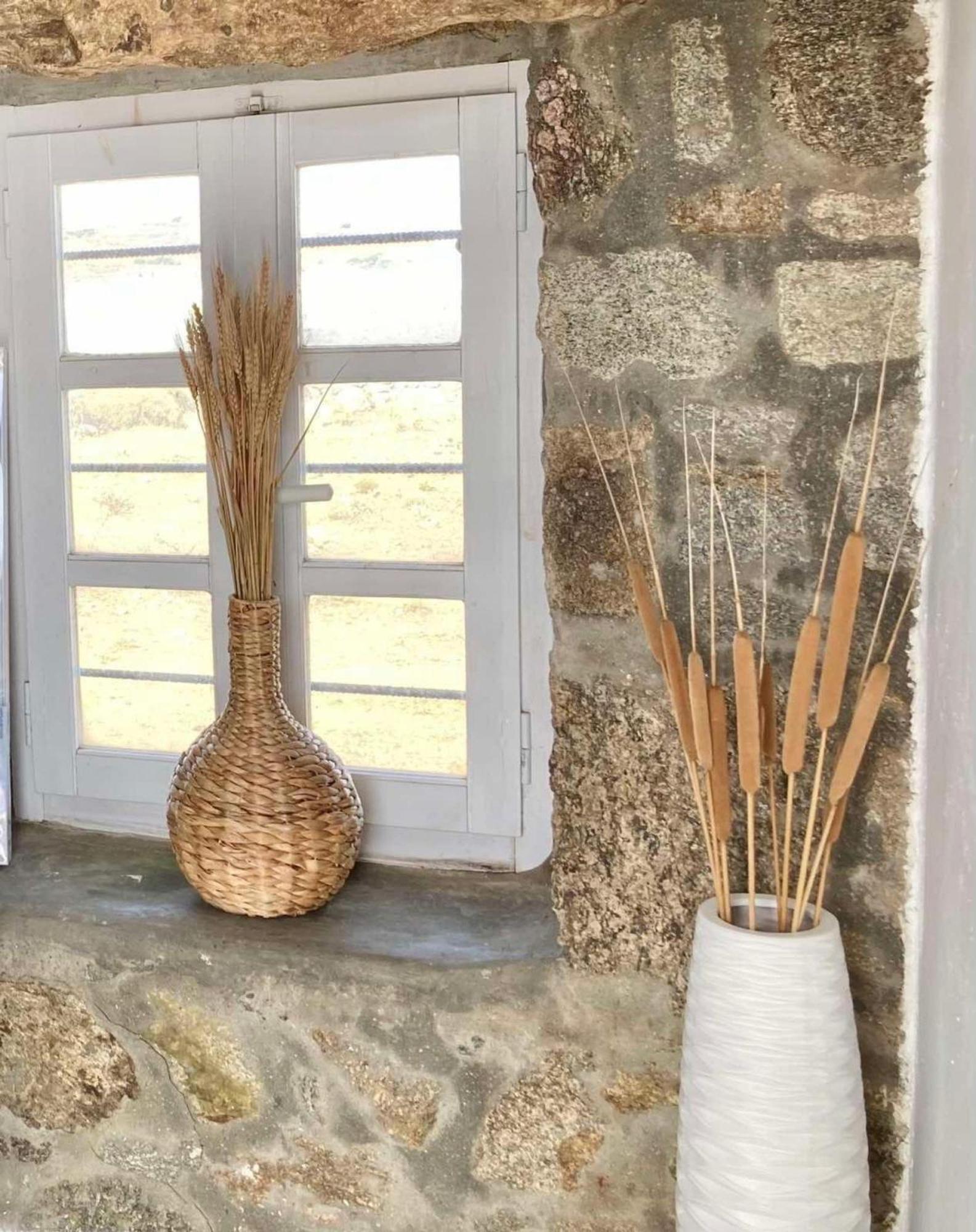 Naira Family Suites Mykonos Mykonos Town Εξωτερικό φωτογραφία